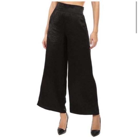 MISA Los Angeles Enzo Elegant Black Wide-Leg Pants pull on pockets extra small - Picture 1 of 11